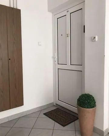 Arany * Szeged